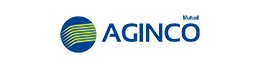 ITS - Aginco